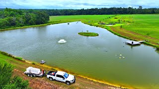 Adding 10000 Fish to the 5 Acre Pond [upl. by Mloclam]