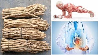 The Extraordinary Benefits of Astragalus Root The Ancient Herb of Longevity and Strength [upl. by Atirahc667]