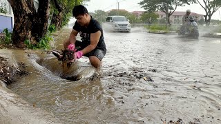 Unclogging Storm Drain Disaster Clearing Blockages to Relieve Flooding [upl. by Frohne662]