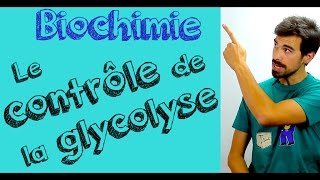 Cours de biochimie Contrôle de la glycolyse vidéo [upl. by Noyad]