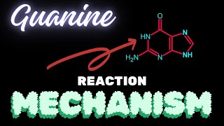 GuanineReaction Mechanism [upl. by Gow]