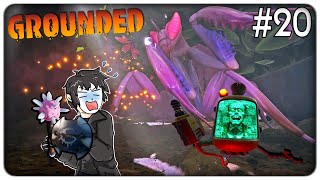 DOPPIA EPICA BOSS BATTLE ELIMINIAMO LA MANTIDE RELIGIOSA E IL DIRETTORE SCHMECTOR  Grounded  ep20 [upl. by Hurlow622]