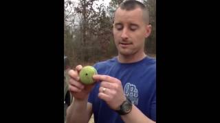 cool trick unlock vehicle door with just a tennis ball [upl. by Nov]