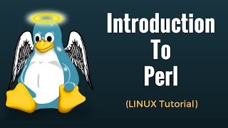 Introduction to Perl  Perl Tutorial for Beginners [upl. by Rodl187]