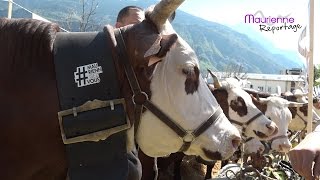 Maurienne Reportage 82  Comice Agricole de Maurienne [upl. by Nehtanhoj]