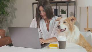 Life Hacks For Busy Dog Owners Using Quick Training Exercises For Everyday Life [upl. by Arjan]