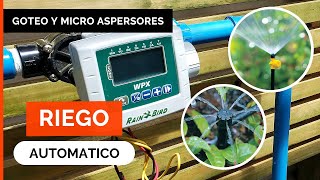 CÓMO INSTALAR RIEGO AUTOMÁTICO 💧🌱 paso a paso Sistema por Goteo y Micro Aspersores  Rain Bird [upl. by Chuck]