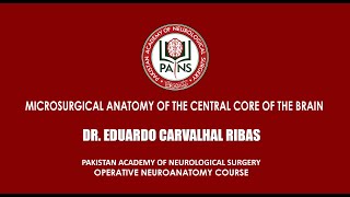 Microsurgical Anatomy of the Central Core of the Brain by Dr Eduardo Carvalhal Ribas [upl. by Costanzia849]