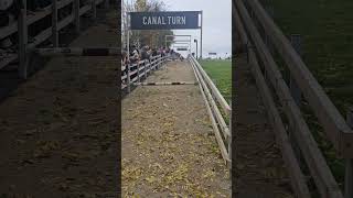 Sheep race at Cannon Hall Farm Oct 24 [upl. by Ferriter]