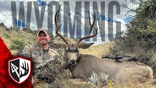 Bowhunting Mule Deer in Wyoming  3 Epic Stalks [upl. by Pavia]