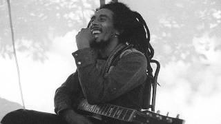 Bob Marley  Concrete Jungle live in madison wisconsinmay 25 1978 [upl. by Boleslaw538]