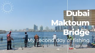 Shore Fishing Day 2  Dubai Maktoum Bridge  Chef Par Vlogs [upl. by Wulfe216]