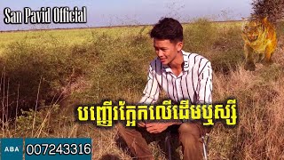 San pavid official  បញ្ញើក្អែកលើដើមឬស្សី [upl. by Tiraj]