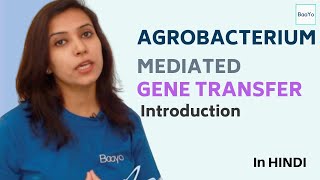 Agrobacterium Mediated Gene Transfer  Part 1  Introduction [upl. by Brindle]