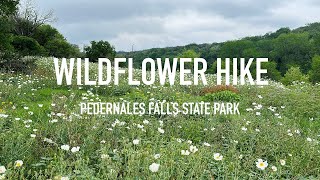 Wildflower Hike in Pedernales Falls State Park  Texas [upl. by Erik]