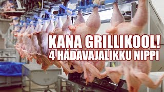 4 hädavajalikku nippi kana grillimiseks [upl. by Latimer318]