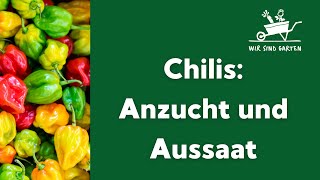 Chilis Anzucht und Aussaat [upl. by Harneen]