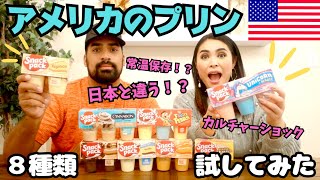 【🇺🇸アメリカのプリンがおかしい】日本といろいろ違いすぎて衝撃！！アメリカのプリン8種類試してみた 096 [upl. by Ragucci13]