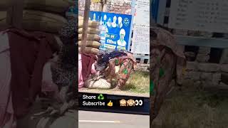 Chorni 23 india 🇮🇳 panjab farmar chori like farming panjab india viralreels shortvideo [upl. by Malley971]