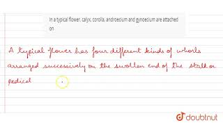 In a typical flowe calyx corolla androecium and gynoecium are attached on [upl. by Kruger]