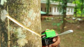 Auto Tapper  Rubber Tapper Rubber Tapping Process [upl. by Quickel]