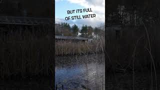 Pool Still Water stillwater abandoned urbanexploration urbex [upl. by Ynaffad894]