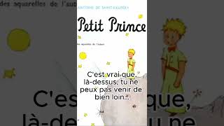 Le Petit Prince 011 bookrecommendations citation histoire [upl. by Liamsi194]