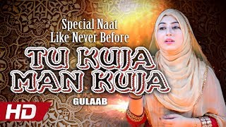 Special Naat Like Never Before  Tu Kuja Man Kuja  Gulaab  HiTech Islamic  Beautiful Naat [upl. by Goldia]