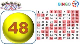 90Ball  Bingo Caller Game1 New [upl. by Atterg695]