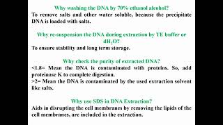 Questions Concerning DNA Extraction [upl. by Aicital134]