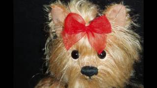 Doodles  Charlie Bears Minimo Dog [upl. by Corson]