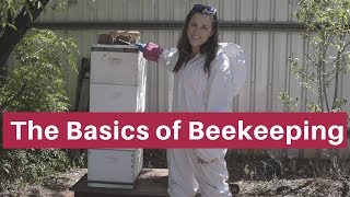 Beekeeping for beginners The absolute basics [upl. by Allimrac758]