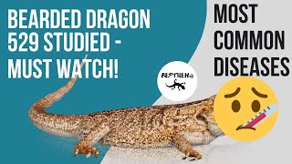 Bearded Dragon Most Common Diseases Among 529 Beardies  Must Watch [upl. by Masera]