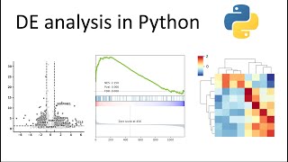 Differential expression in Python with pyDESeq2 [upl. by Animlehliw616]