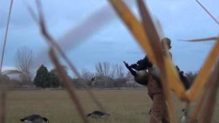 Goose Hunting Eagle Idaho [upl. by Eninahpets]