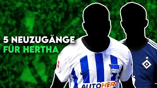 Hertha BSC 5 Transfers für den Wiederaufbau und den Aufstiegskampf in der 2 Liga [upl. by Lyontine315]