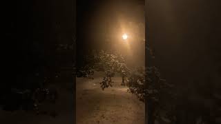 Mesmerizing Snowfall Window View in NJ [upl. by Eeramit]