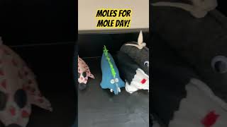 Stuffed Moles for Chemistry Mole Day chemistry moleday chemistryteacher [upl. by Marcile]