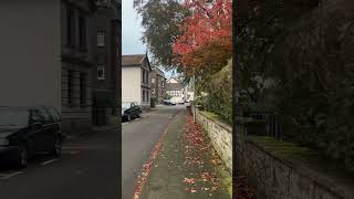 Germany Bad Honnef schorts europe nature 2024 autumn travel vibes [upl. by Afirahs464]