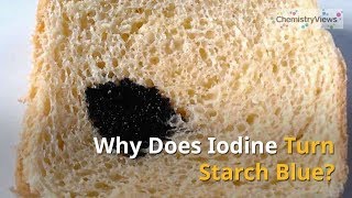 Why Does Iodine Turn Starch Blue [upl. by Leugimesoj]