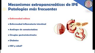 Insuficiencia Pancreática Exocrina de causa extra pancreática [upl. by Clementina]