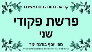 פרשת פקודי  שני  אשכנז [upl. by Azarria]