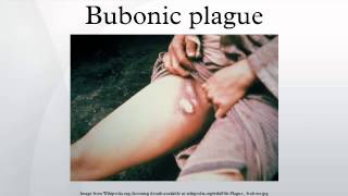 Bubonic plague [upl. by Reg]