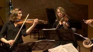 Haydn String Quartet No 53 in D Major Op 64  quotThe Larkquot [upl. by Astto]