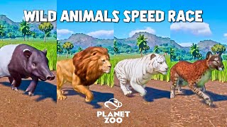 West African Lion Malayan Tapir Siberian Tiger Sable American Cheetah  Planet Zoo Animals Race [upl. by Iek941]