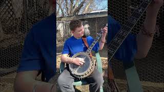 Pickin’ with a Baby Chicken 🪕🐥 “Groundspeed” banjo banjomusic bluegrassmusic groundspeed [upl. by Normy899]