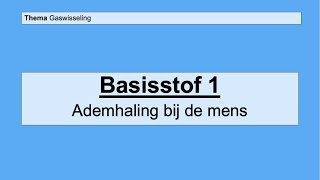 VMBO 4  Gaswisseling  Basisstof 1 Ademhaling bij de mens [upl. by Oilcareh572]