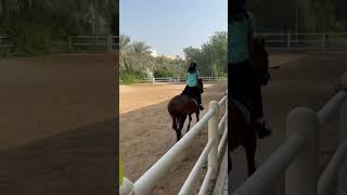 First time cantering 😭  it was a mess horse equestrian I rode birdy [upl. by Lairea]