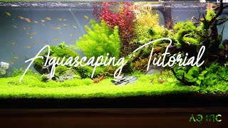 Step by Step Aquascaping Tutorial 200L [upl. by Ettereve375]