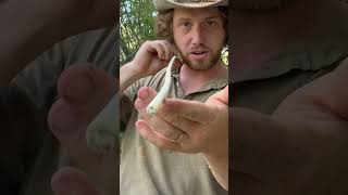 Skipping Arrow for Duck Hunting survival archery outdoors camping nature bushcraft primitive [upl. by Jemina813]